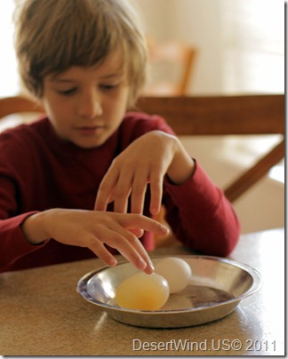 Eggmosis4