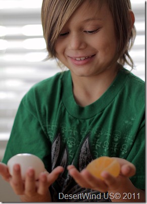 eggmosis10
